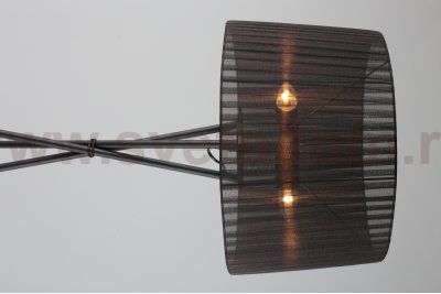 Торшер Omnilux OML-62915-03 Fascia