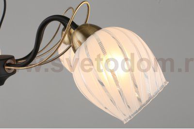 Люстра потолочная Omnilux OML-65507-05 Garda