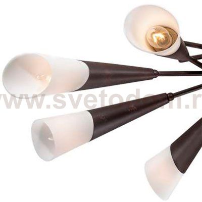 Плафон стекло со скосом 80*160мм E14 (32мм посадка) OL 2464 Evans