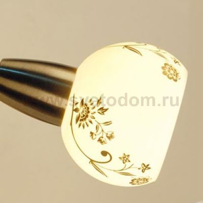 Светильник поворотный спот Citilux CL520543 Соната