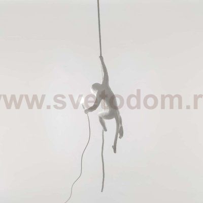 Подвесной светильник Monkey Lamp Outdoor Ceiling 14929 Seletti