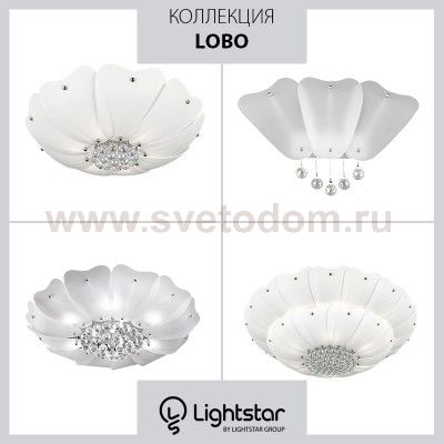 Светильник бра Lightstar 804640 Lobo