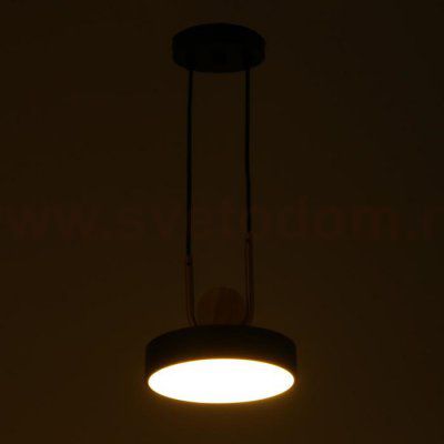 Светильник 35424/1 LED 24Вт 3000-6000К черный 18х18х20 см