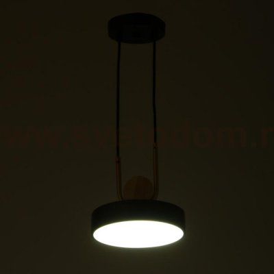 Светильник 35424/1 LED 24Вт 3000-6000К черный 18х18х20 см