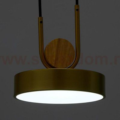 Светильник 35425/1 LED 24Вт 3000-6000К золотой 18х18х20 см