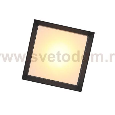 Светильник уличный потолочный St luce SL077.402.01 CUBISTA