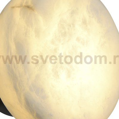 Светильник St luce SL1019.401.01 ONLY