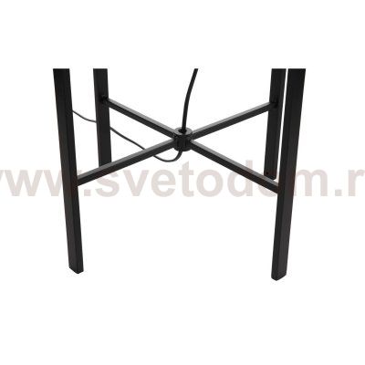 Торшер колба St luce SL1050.515.01 BURASCA