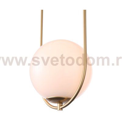 Светильник подвесной St luce SL1118.203.01 PENOLO