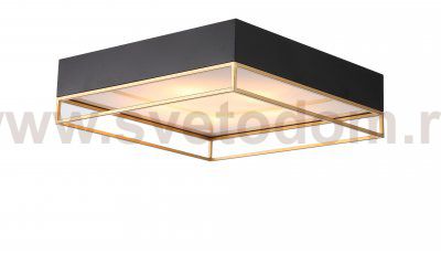 Светильник потолочный St luce SL1127.422.05 CHODO