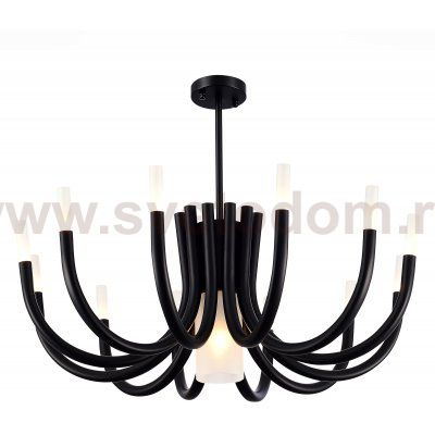 Люстра потолочная St luce SL1173.402.13 PAFE