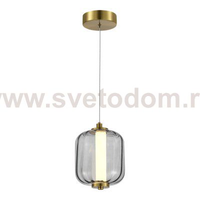 Светильник  светодиодный St luce SL1193.313.01 SUMMER