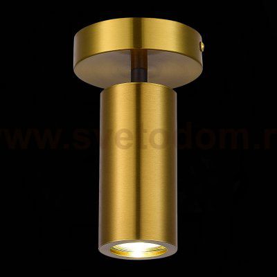 Светильник потолочный St luce SL1215.402.01 TALIA