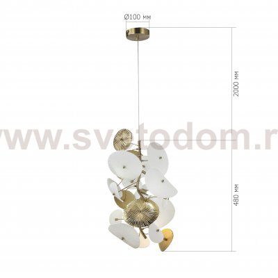 Светильник  с лампой St luce SL1518.303.05 DAHLIA
