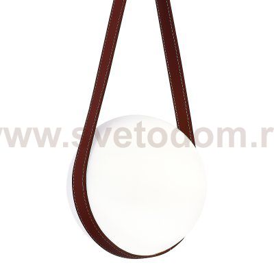 Светильник  с лампой накаливания St luce SL2002.403.01 MOONBAG