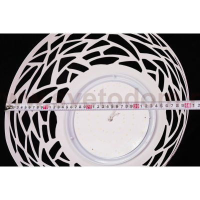 Светильник подвесной St luce SL273.503.01 VELO