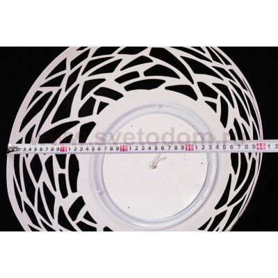 Уценка. Светильник светодиодный St Luce SL273.503.01