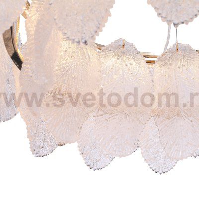 Светильник  светодиодный St luce SL6135.213.01 LIGHTSOME