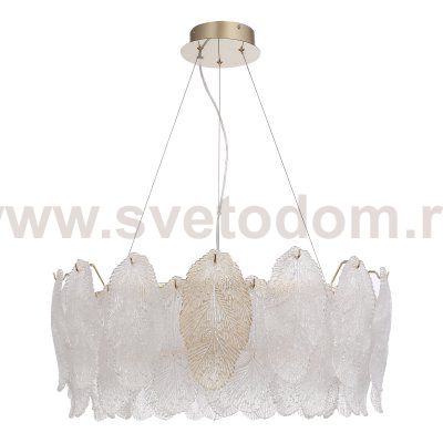 Светильник  светодиодный St luce SL6135.213.01 LIGHTSOME
