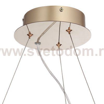 Светильник  светодиодный St luce SL6135.213.01 LIGHTSOME