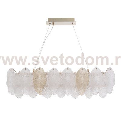 Светильник  светодиодный St luce SL6135.233.01 LIGHTSOME