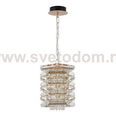 Светильник  с лампой накаливания St luce SL6137.203.01 STROZZI