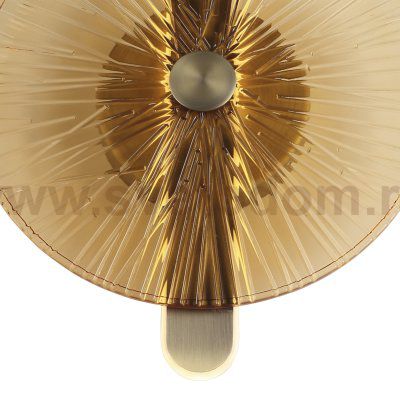 Светильник St luce SL6141.311.01 WASI