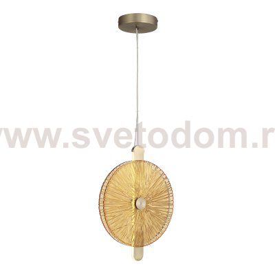 Светильник St luce SL6141.313.01 WASI