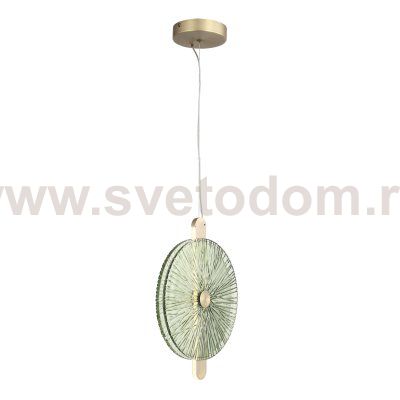 Светильник St luce SL6141.323.01 WASI