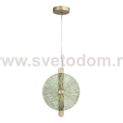 Светильник St luce SL6141.323.01 WASI