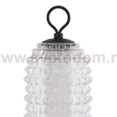 Светильник St luce SL6144.404.01 SAGUARO