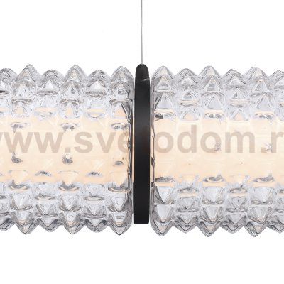 Светильник St luce SL6144.413.01 SAGUARO