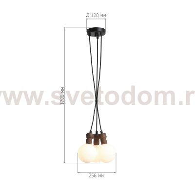 Светильник  светодиодный St luce SL6226.403.03 CORK