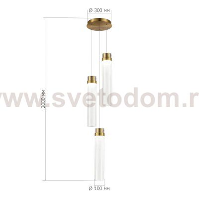 Светильник  светодиодный St luce SL6236.303.03 CHAMPAGNE