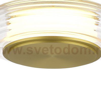 Светильник  светодиодный St luce SL6239.203.01 FRITTELA