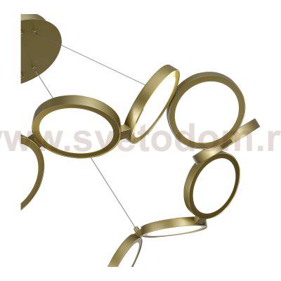 Светильник  светодиодный St luce SL6508.203.01 RIO