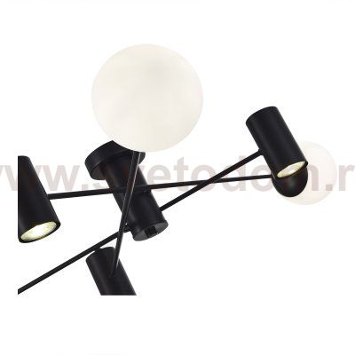 Светильник  с лампой St luce SLE1105-402-06 RAITO