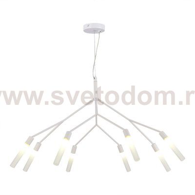 Светильник  с лампой St luce SLE1129-503-08 KAITO