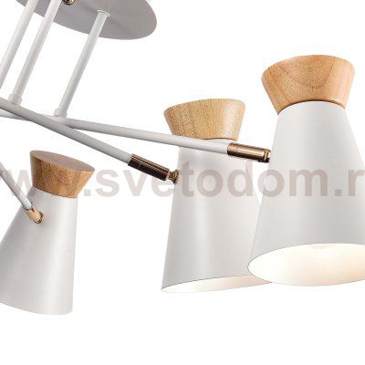 Люстра потолочная St luce SLE1252-502-06 ALFEO