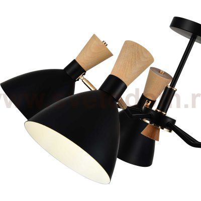Светильник  с лампой накаливания St luce SLE1256-402-05 VISTA