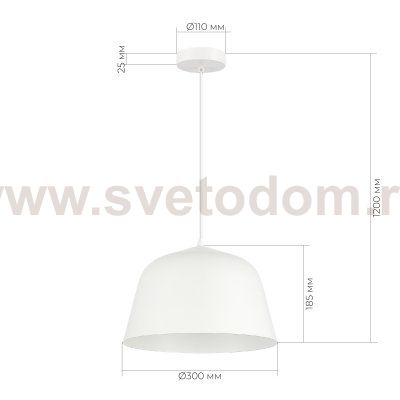 Светильник  с лампой накаливания St luce SLE1805-503-01 BLANK