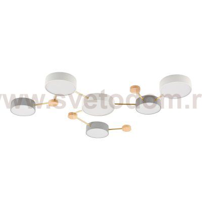 Светильник потолочный St luce SLE600102-06 DOSSENA