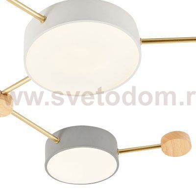 Светильник потолочный St luce SLE600102-06 DOSSENA