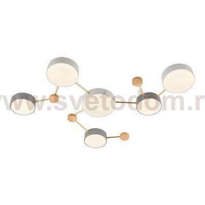 Светильник потолочный St luce SLE600102-06 DOSSENA