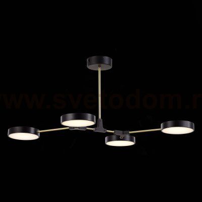 Светильник потолочный St luce SLE6004-402-04 MONTA