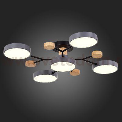 Светильник потолочный St luce SLE6006-702-05 FAEMA