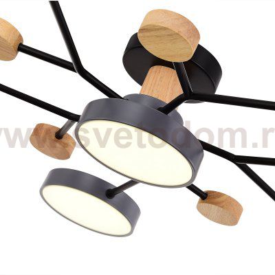 Светильник потолочный St luce SLE6006-702-06 FAEMA