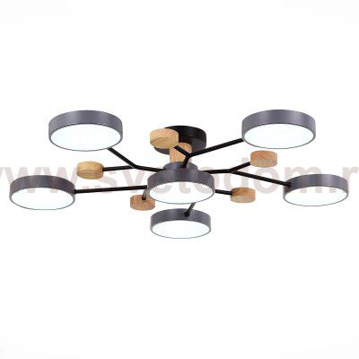 Светильник потолочный St luce SLE6006-702-06 FAEMA