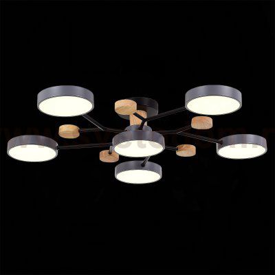 Светильник потолочный St luce SLE6006-702-06 FAEMA