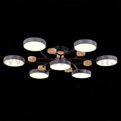 Светильник потолочный St luce SLE6006-702-07 FAEMA